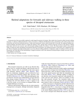 Vidal-Gadea2008skeletal Adaptations for Forwards and Sideways Walking