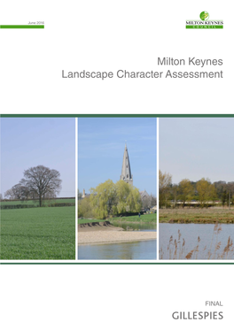 MK Landscape Character Assessment