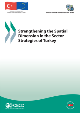 Strengthening the Spatial Dimension in the Sector Strategies of Turkey