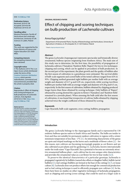 Effect of Chipping and Scoring Techniques on Bulb Production Of