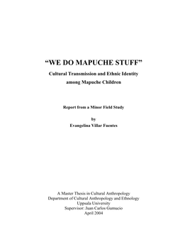 “We Do Mapuche Stuff”