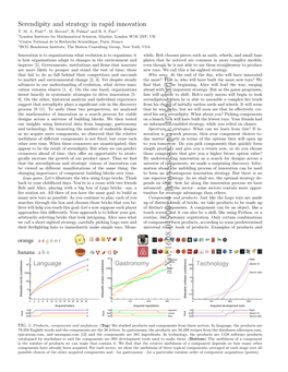 Serendipity and Strategy in Rapid Innovation T