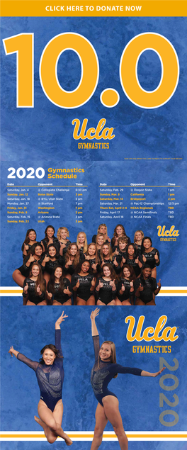 UCLA Gym 2019 Newsletter