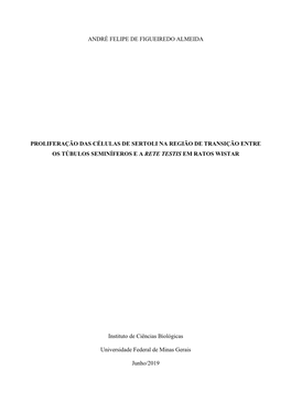 André Felipe De Figueiredo Almeida Proliferação Das Células De Sertoli Na Região De Transição Entre Os Túbulos Seminífe