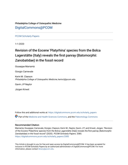 Revision of the Eocene 'Platyrhina' Species from the Bolca Lagerstätte (Italy) Reveals the First Panray (Batomorphii: Zanobatidae) in the Fossil Record