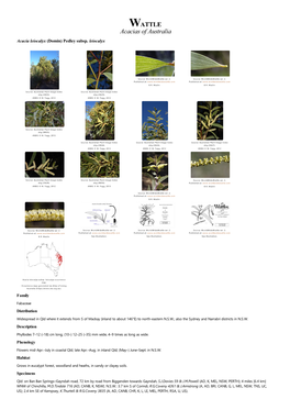 Acacia Leiocalyx Subsp. Leiocalyx Occurrence Map