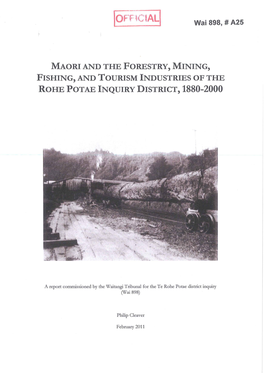 Maori and the Forestry, Mining, Fishing, and Tourism Industries of the Rohe Potae Inquiry District, 1880-2000