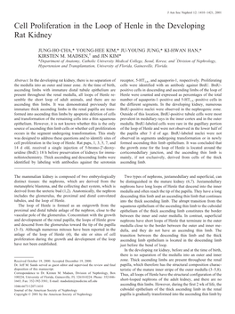 Cell Proliferation in the Loop of Henle in the Developing Rat Kidney