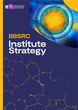 Institute Strategy