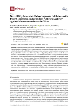 Novel Dihydroorotate Dehydrogenase Inhibitors with Potent Interferon-Independent Antiviral Activity Against Mammarenaviruses in Vitro