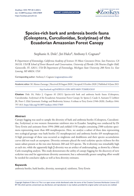 (Coleoptera, Curculionidae, Scolytinae) of the Ecuadorian Amazonian Forest Canopy