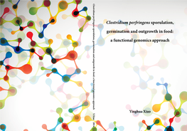 Clostridium Perfringens Sporulation, Germination and Outgrowth in Food: a Functional Genomics Approach