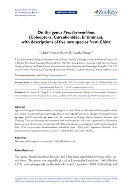 On the Genus Pseudocneorhinus (Coleoptera, Curculionidae, Entiminae), with Descriptions of Five New Species from China