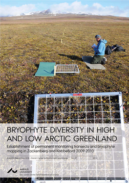 BRYOPHYTE DIVERSITY in HIGH and LOW ARCTIC GREENLAND Establishment of Permanent Monitoring Transects and Bryophyte Mapping in Zackenberg and Kobbefjord 2009-2010