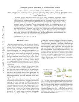 Emergent Pattern Formation in an Interstitial Biofilm