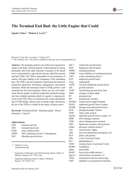 The Terminal End Bud: the Little Engine That Could