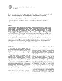 Chromosome Evolution in Tiger Beetles: Karyotypes and Localization of 18S Rdna Loci in Neotropical Megacephalini (Coleoptera, Cicindelidae)