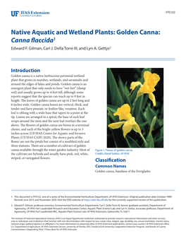 Native Aquatic and Wetland Plants: Golden Canna: Canna Flaccida1 Edward F