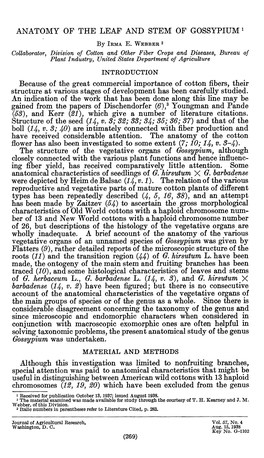 Anatomy of the Leaf and Stem of Gossypium '