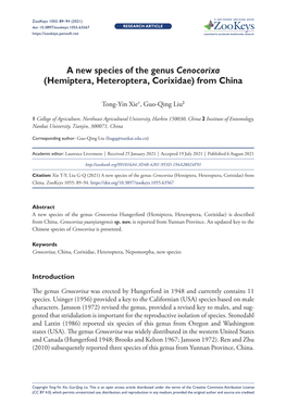 A New Species of the Genus Cenocorixa (Hemiptera, Heteroptera, Corixidae) from China