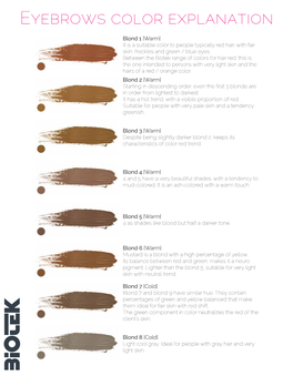 Eyebrows Color Explanation