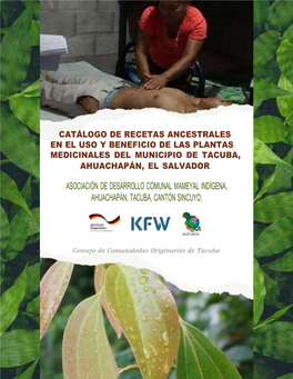 Asociación De Desarrollo Comunal Mameyal Indígena, Ahuachapán, Tacuba, Cantón Sincuyo