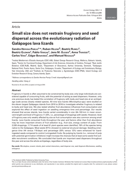 Small Size Does Not Restrain Frugivory and Seed Dispersal Across the Evolutionary Radiation of Gala´ Pagos Lava Lizards