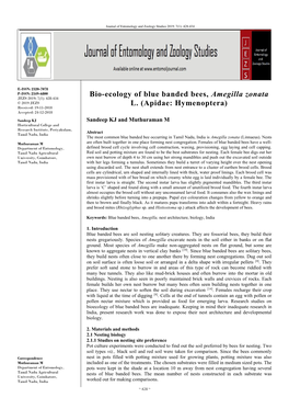 Bio-Ecology of Blue Banded Bees, Amegilla Zonata L