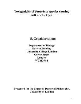 Toxigenicity of Fusarium Species Causing Wilt of Chickpea