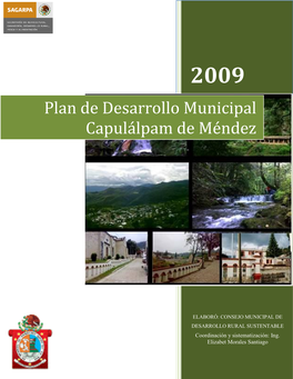 Plan De Desarrollo Municipal Capulálpam De Méndez