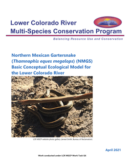 (NMGS) Basic Conceptual Ecological Model for the Lower Colorado River