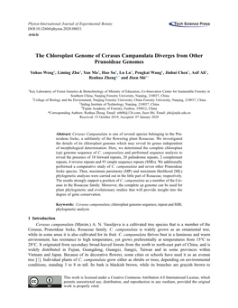 The Chloroplast Genome of Cerasus Campanulata Diverges from Other Prunoideae Genomes