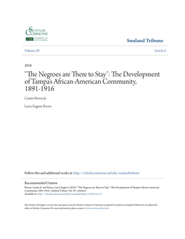 The Development of Tampa's African-American Community, 1891-1916