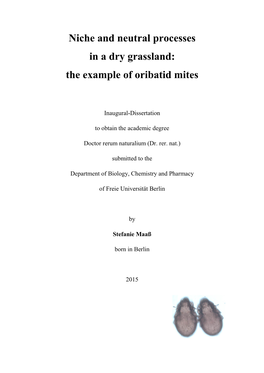 The Example of Oribatid Mites