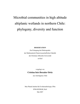 Microbial Communities in High Altitude Altiplanic Wetlands in Northern Chile: Phylogeny, Diversity and Function