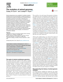 The Evolution of Animal Genomes