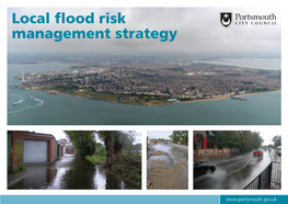 Local Flood Risk Management Strategy