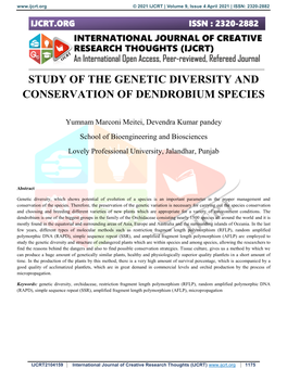 Study of the Genetic Diversity and Conservation of Dendrobium Species