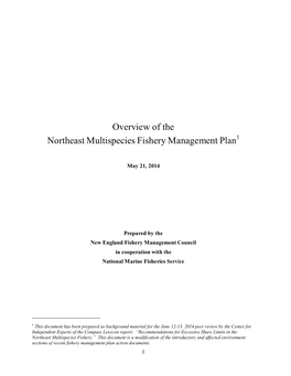 Overview of the Northeast Multispecies Fishery Management Plan1