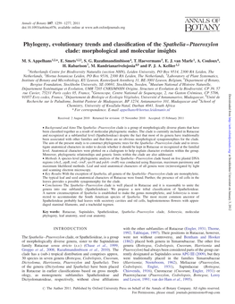 Phylogeny, Evolutionary Trends and Classification of the Spathelia–Ptaeroxylon Clade: Morphological and Molecular Insights