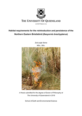 Habitat Requirements for the Reintroduction and Persistence of the Northern Eastern Bristlebird (Dasyornis Brachypterus)