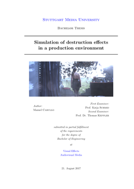 Simulation of Destruction Effects in a Production Environment