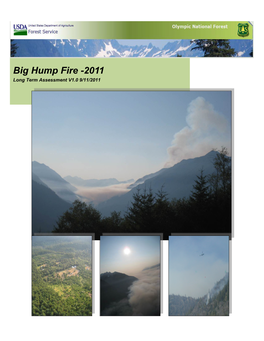 Bi Hump Fire 2011