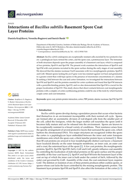 Interactions of Bacillus Subtilis Basement Spore Coat Layer Proteins