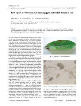 First Report of Alternaria Mali Causing Apple Leaf Blotch Disease in Iran