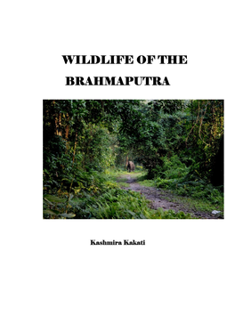 Wildlife of the Brahmaputra