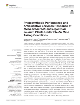 Photosynthesis Performance and Antioxidative Enzymes Response of Melia Azedarach and Ligustrum Lucidum Plants Under Pb–Zn Mine Tailing Conditions