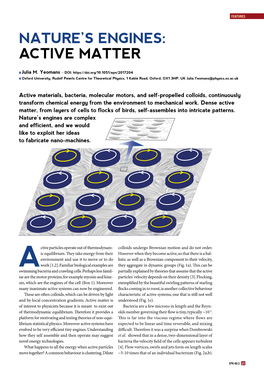 Active Matter