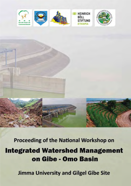 Integrated Watershed Management on Gibe - Omo Basin