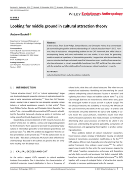 Looking for Middle Ground in Cultural Attraction Theory